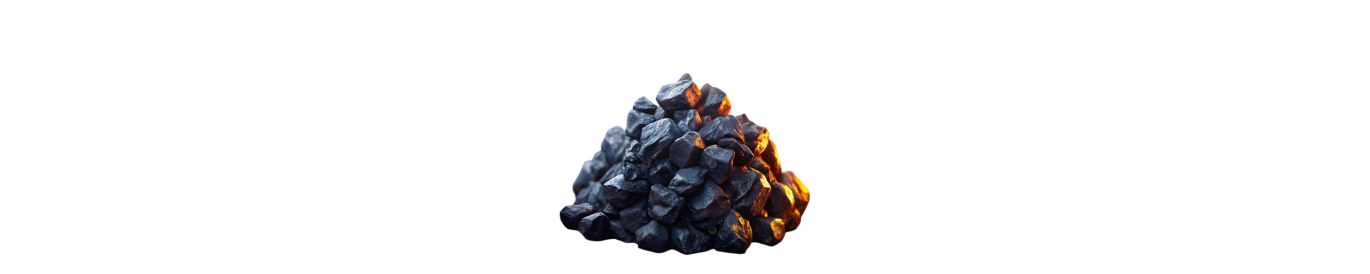 Coal