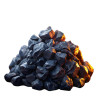 Coal