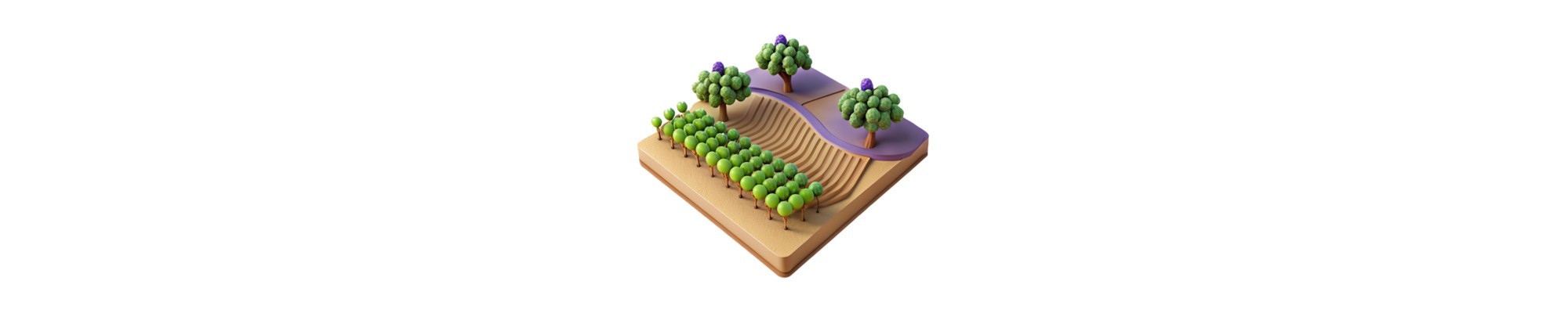 Agriculture and plantations