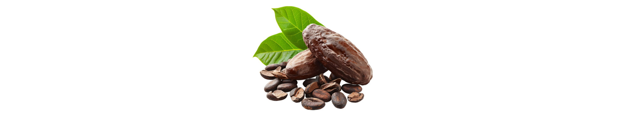 Cocoa