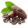 Cocoa